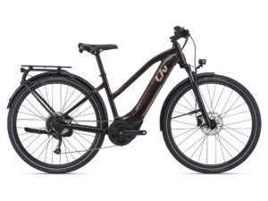 EB032 - 2022 Liv Amiti E plus 2