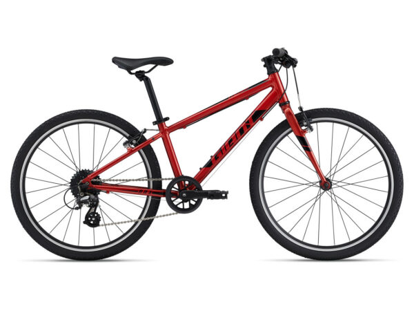 KB007 - 2022 Giant ARX 24